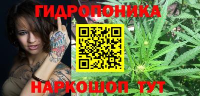 кокс Краснодар